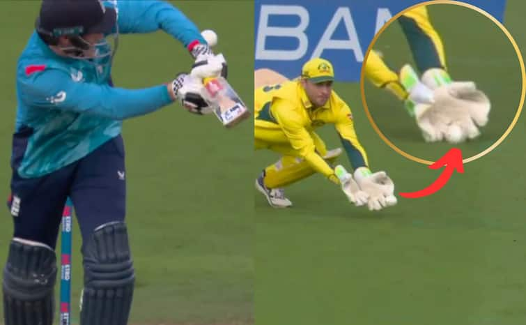 ENG vs AUS 4th ODI Josh Inglis Controversial Catch to Harry Brook Video Viral Watch Cricket ENG vs AUS: ऑस्ट्रेलिया ने सरेआम की