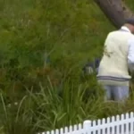 Nathan Lyon enter bushes to search for lost ball