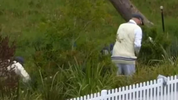 Nathan Lyon enter bushes to search for lost ball