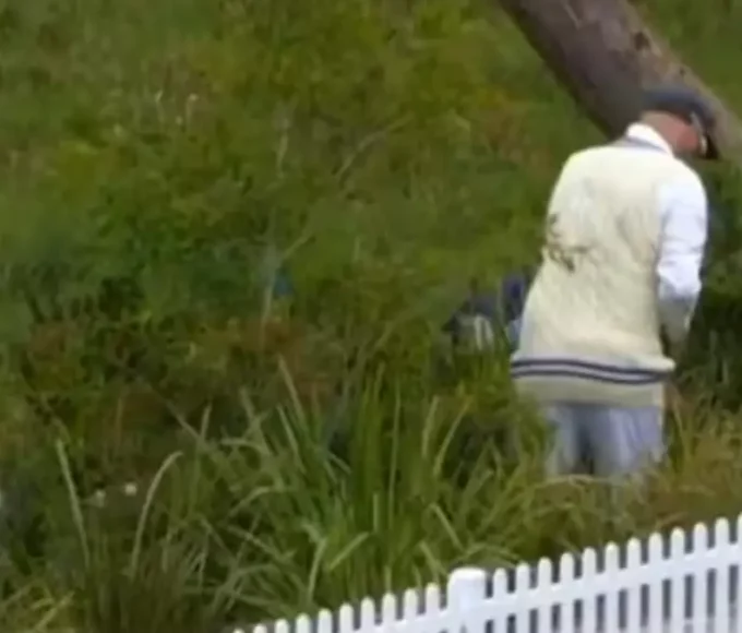 Nathan Lyon enter bushes to search for lost ball