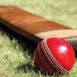 Supreme Court, Haryana-Punjab, Aurangabad and Allahabad High Court reach semi-finals, Advocates Cricket Tournament