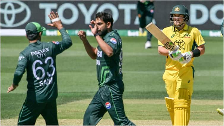 Australia vs Pakistan 3rd ODI Australia Innings 88-6 Naseem Shah Haris Rauf Josh Inglis Glenn Maxwell AUS vs PAK: पाकिस्तानी पेस अटैक के सामने ऑस्ट्रेलिया फिर ढेर, किसी भी धुरंधर का नहीं चला बल्ला